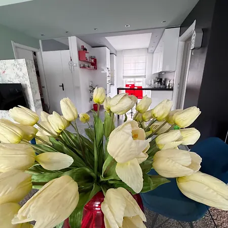 Apartament Casa Cleo *